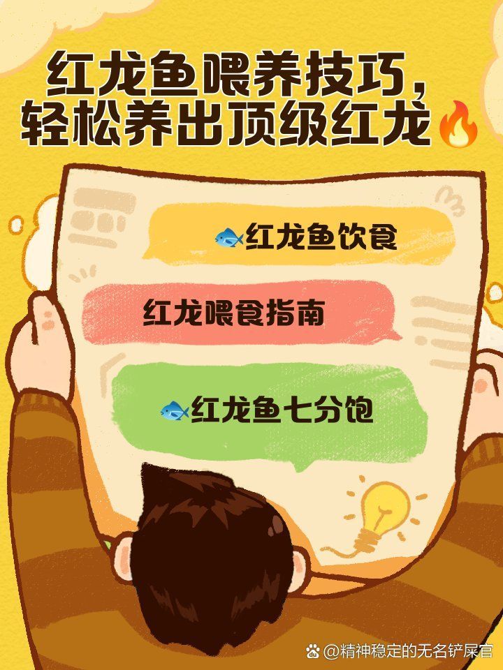 紅龍魚幼苗2公分怎么喂食