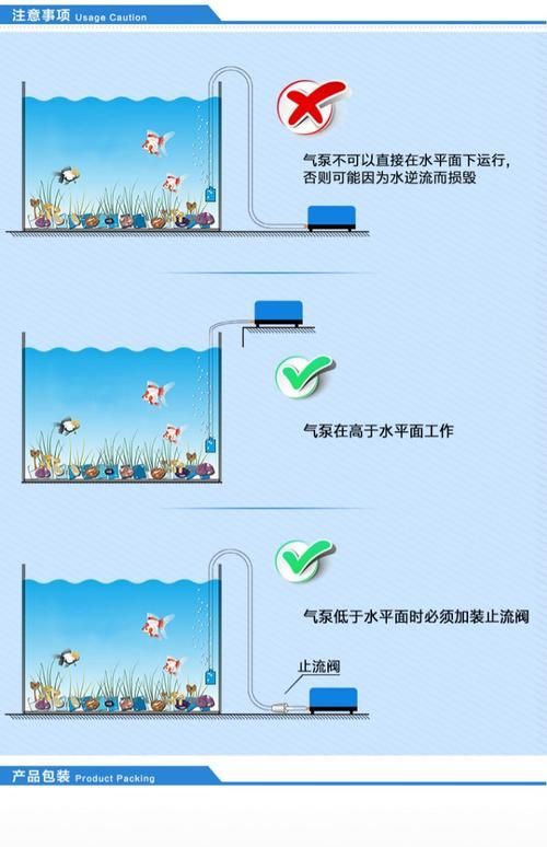 魚(yú)缺氧后如何急救，**魚(yú)缺氧后的急救方法 魚(yú)缺氧后如何急救，**魚(yú)缺氧后的急救方法 龍魚(yú)百科 第9張