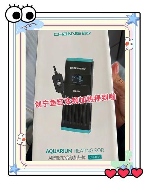 如何選擇適合的創寧水族產品？，創寧水族產品如何選擇適合您的創寧水族產品 如何選擇適合的創寧水族產品？，創寧水族產品如何選擇適合您的創寧水族產品 龍魚百科 第1張
