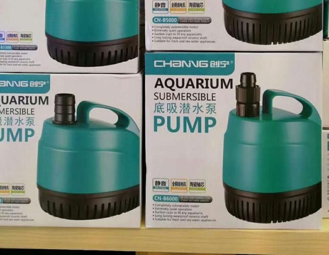 如何選擇適合的創寧水族產品？，創寧水族產品如何選擇適合您的創寧水族產品 如何選擇適合的創寧水族產品？，創寧水族產品如何選擇適合您的創寧水族產品 龍魚百科 第16張