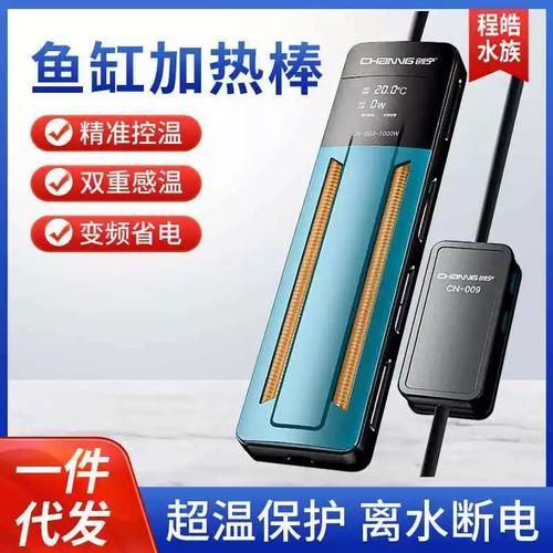 如何選擇適合的創寧水族產品？，創寧水族產品如何選擇適合您的創寧水族產品 如何選擇適合的創寧水族產品？，創寧水族產品如何選擇適合您的創寧水族產品 龍魚百科 第3張