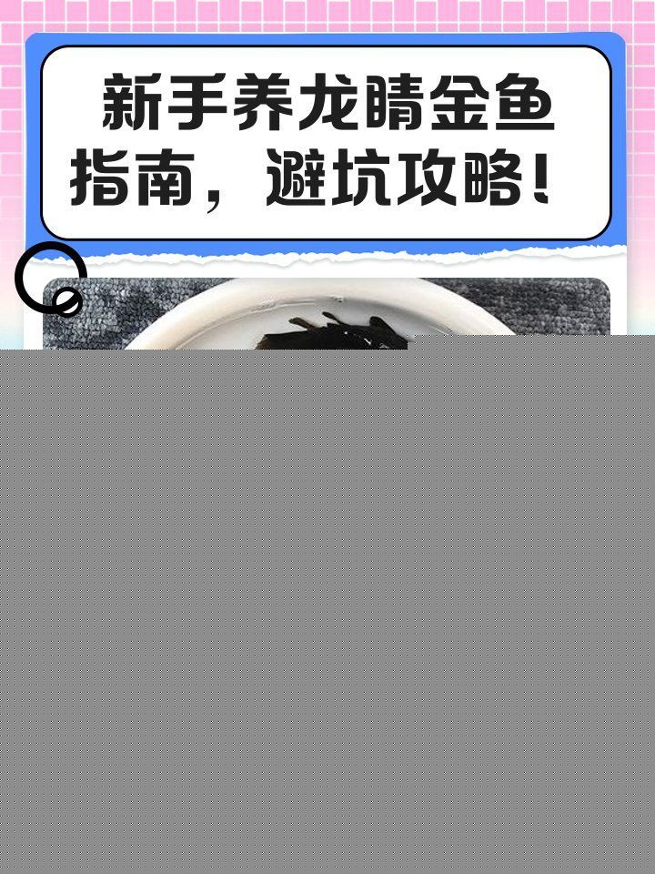 給我一些飼養黑龍睛的 tips，養黑龍睛的注意事項