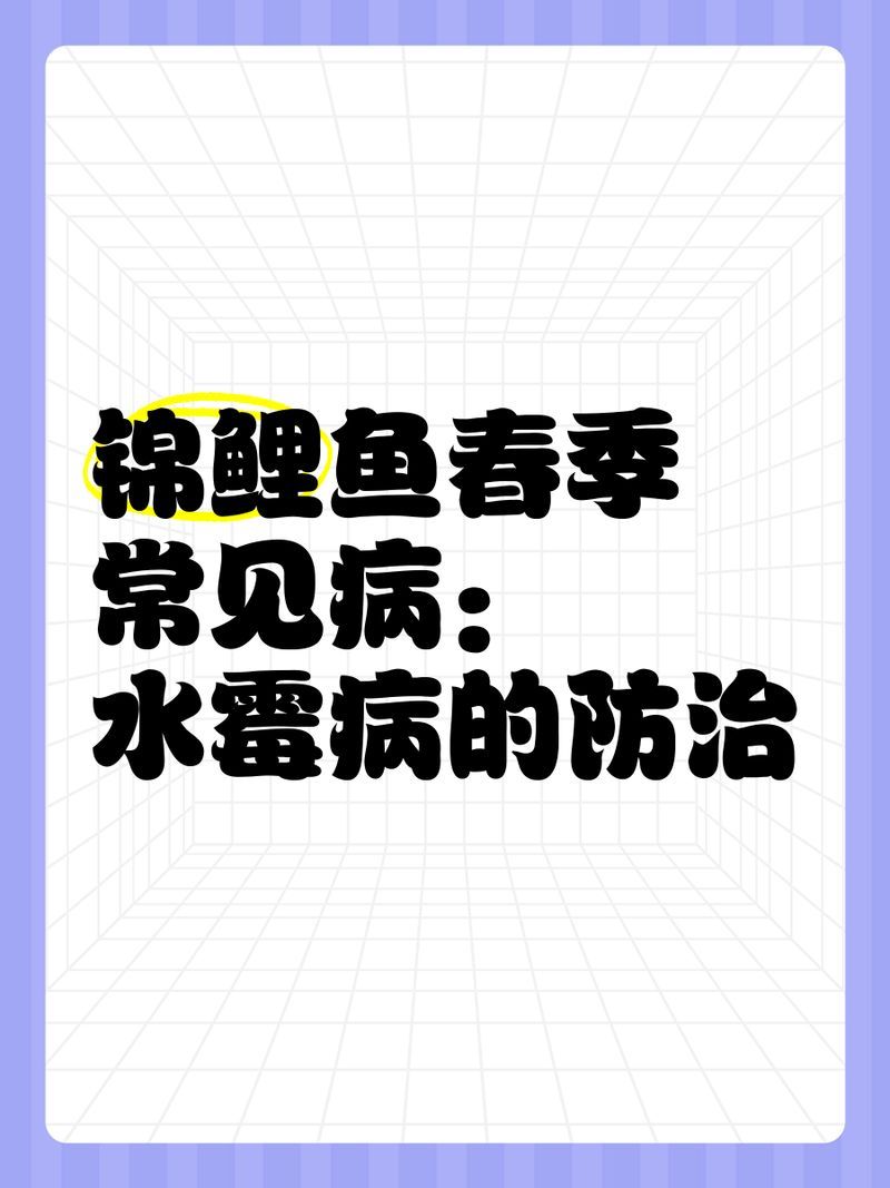 有哪些天然方法可以預防魚傷口感染，有哪些天然抗菌物質可以用于預防魚傷口感染