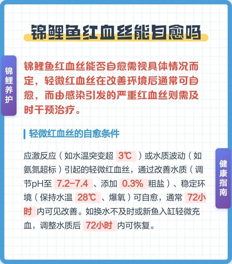 錦鯉魚鱗充血會自愈嗎