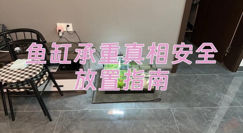 魚缸壓塌樓板后多久能修復，魚缸壓塌樓板后多久修復 魚缸壓塌樓板后多久能修復，魚缸壓塌樓板后多久修復 龍魚百科 第4張