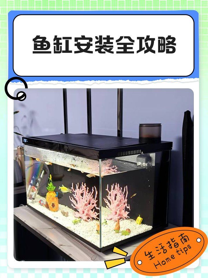 魚缸壓塌樓板后多久能修復，魚缸壓塌樓板后多久修復 魚缸壓塌樓板后多久能修復，魚缸壓塌樓板后多久修復 龍魚百科 第5張