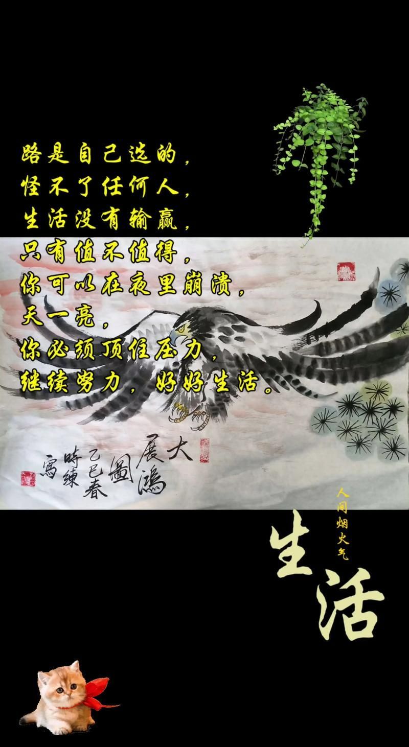 《大展鴻圖》的歌詞內容是什么，《大展鴻圖》歌詞內容是什么，《大展鴻圖》內容是什么