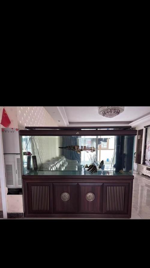 祥龍魚場提供哪些尺寸的龍魚缸？，祥龍魚場提供多種尺寸的龍魚缸以滿足不同客戶的需求 祥龍魚場提供哪些尺寸的龍魚缸？，祥龍魚場提供多種尺寸的龍魚缸以滿足不同客戶的需求 龍魚百科 第3張