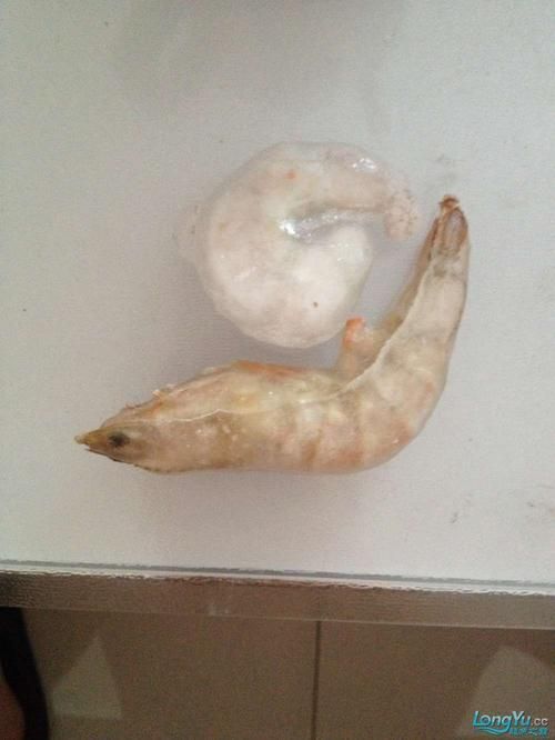 龍魚飼養技巧有哪些