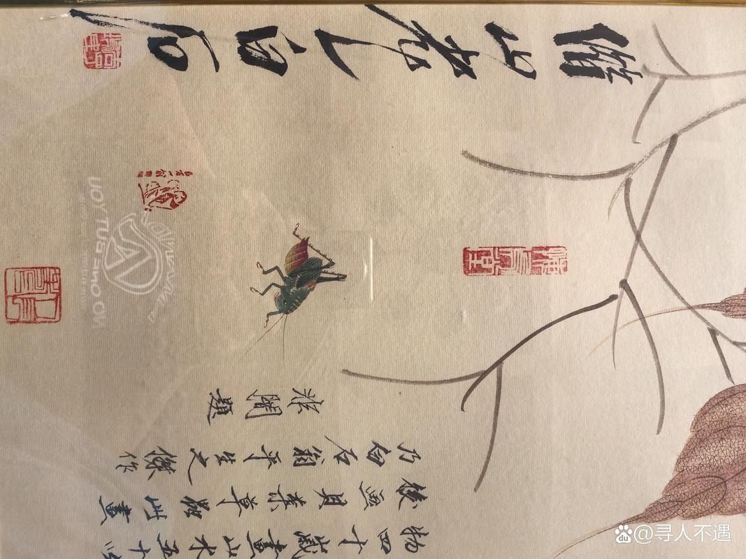 如何鑒定收藏品真?zhèn)危绾巫裱妒詹仄氛鎮(zhèn)味墭?biāo)準(zhǔn)》 如何鑒定收藏品真?zhèn)危绾巫裱妒詹仄氛鎮(zhèn)味墭?biāo)準(zhǔn)》 龍魚百科 第6張