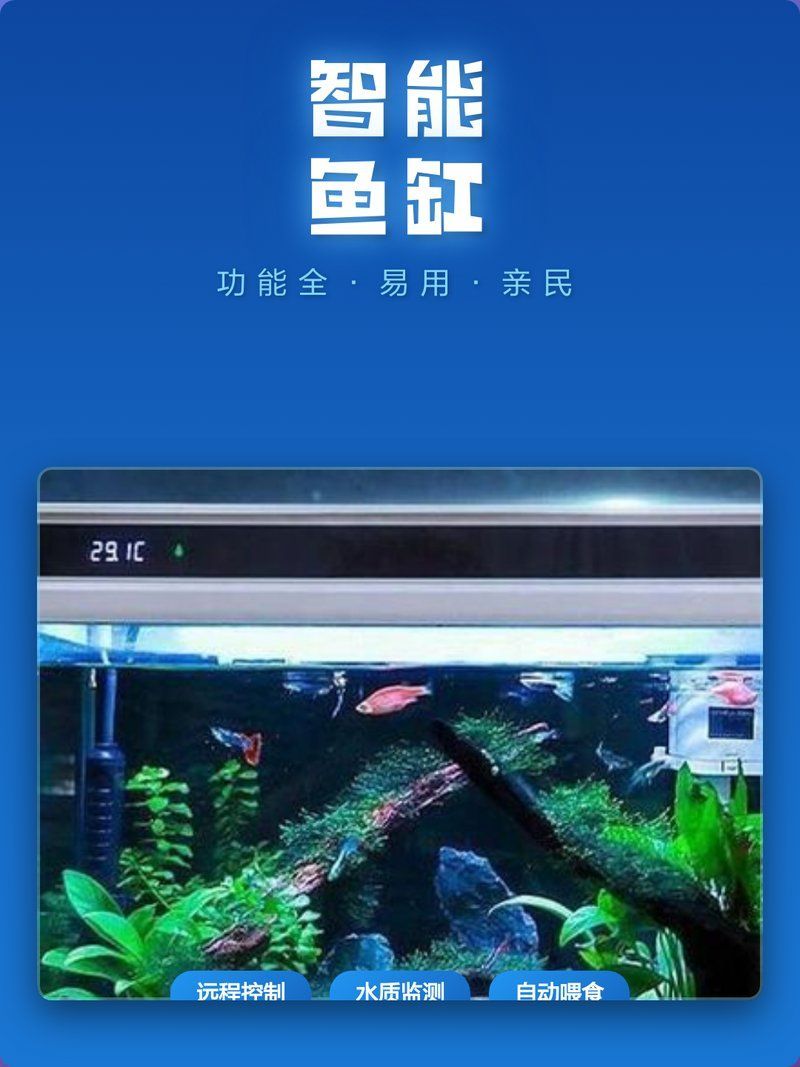 如何優(yōu)化高缸的水質(zhì)管理？ 如何優(yōu)化高缸的水質(zhì)管理？ 龍魚百科 第2張