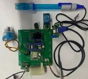 如何優化高缸的水質管理？