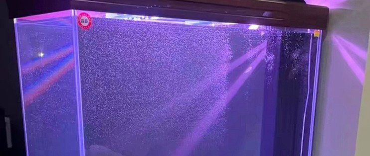 森森和博宇哪個更適合龍魚？，森森與博宇龍魚缸哪個更適合飼養森森和博宇龍魚缸