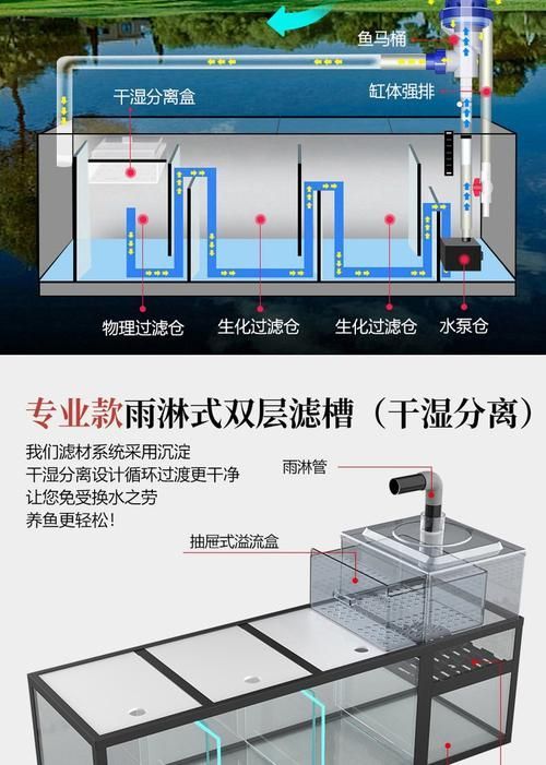 如何保持龍魚缸水質清潔？，如何保持龍魚缸水質清潔