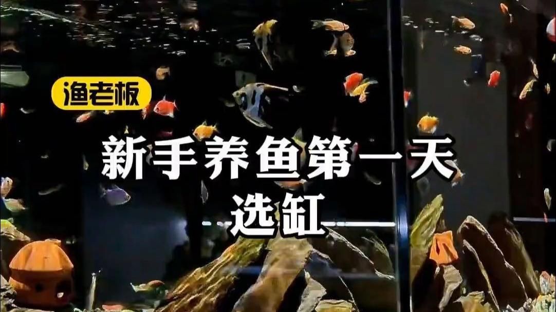 哪種形狀的魚缸最適合養魚，圓形魚缸、方形魚缸、圓形魚缸、方形魚缸、方形魚缸