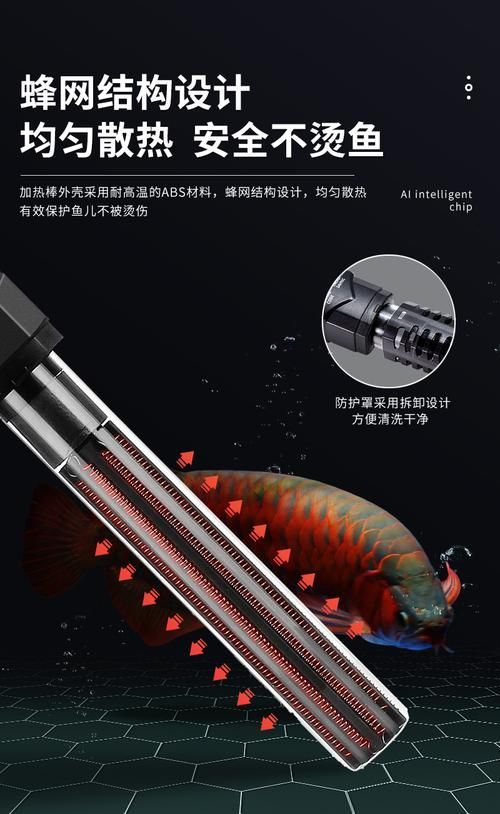 如何維持紅龍魚缸水溫穩(wěn)定，如何維持紅龍魚缸水溫穩(wěn)定思考