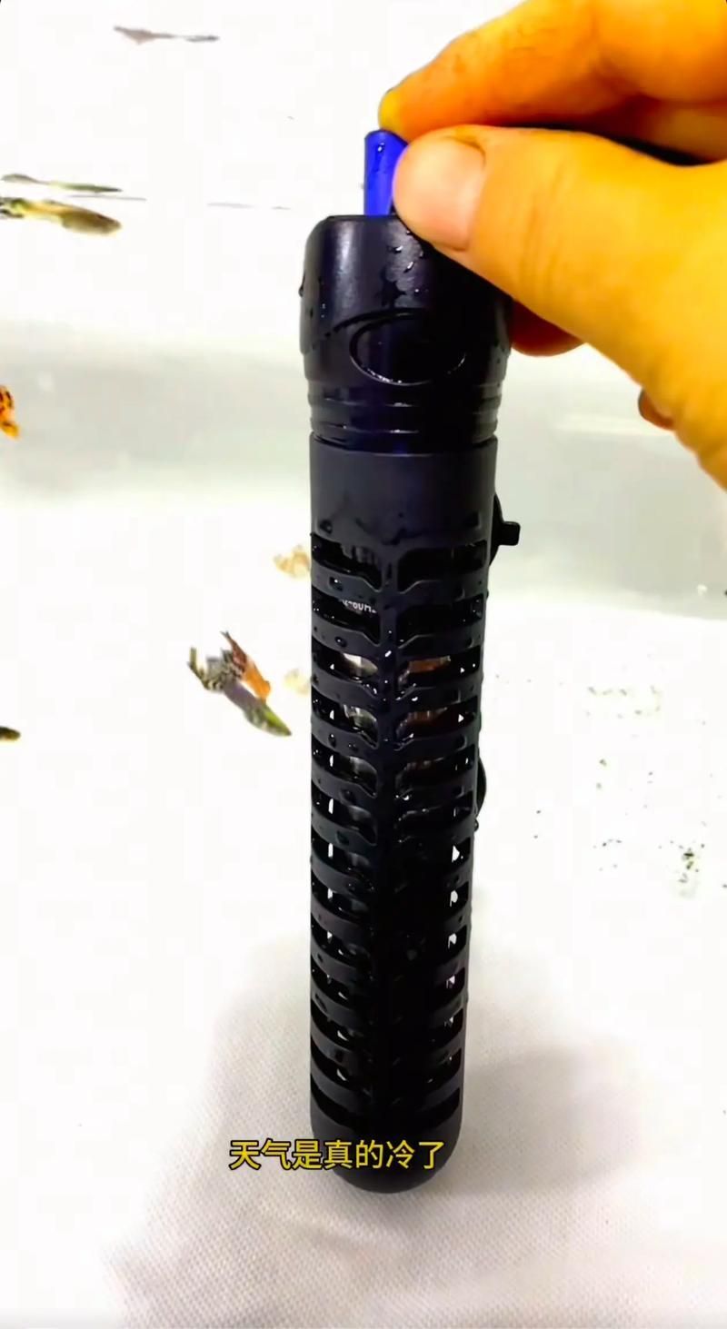 如何維持紅龍魚缸水溫穩(wěn)定，如何維持紅龍魚缸水溫穩(wěn)定思考