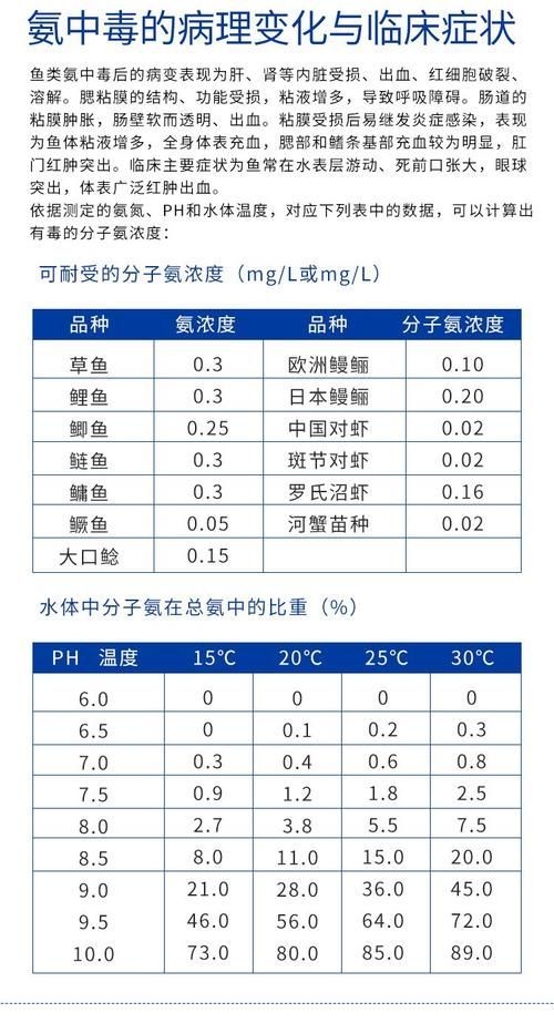 如何判斷水質是否適合養魚