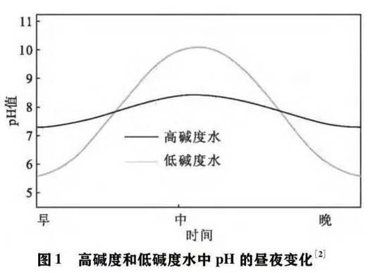 如何判斷水質是否適合養魚