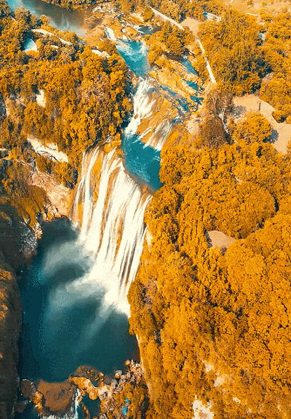 有哪些高清的自然動態壁紙 龍魚百科 第13張 有哪些高清的自然動態壁紙 有哪些高清的自然動態壁紙 龍魚百科 第13張