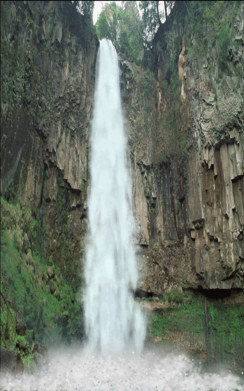 有哪些高清的自然動態壁紙 龍魚百科 第15張 有哪些高清的自然動態壁紙 有哪些高清的自然動態壁紙 龍魚百科 第15張