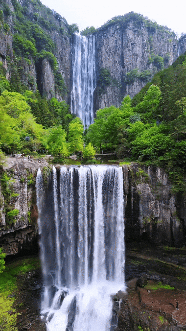 有哪些高清的自然動態壁紙 龍魚百科 第14張 有哪些高清的自然動態壁紙 有哪些高清的自然動態壁紙 龍魚百科 第14張