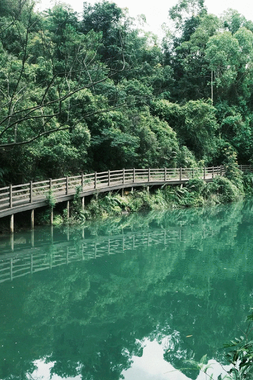 有哪些高清的自然動態壁紙 龍魚百科 第6張 有哪些高清的自然動態壁紙 有哪些高清的自然動態壁紙 龍魚百科 第6張