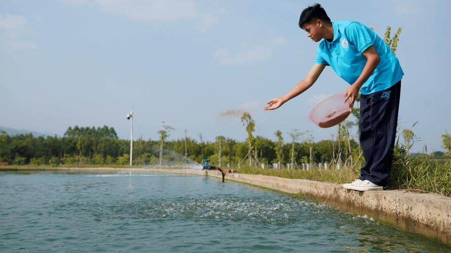 祥龍魚場飼料魚成本占比,“祥龍魚場飼料魚成本占比調用工具百度愛采購 龍魚百科 第3張 祥龍魚場飼料魚成本占比,“祥龍魚場飼料魚成本占比調用工具百度愛采購 祥龍魚場飼料魚成本占比,“祥龍魚場飼料魚成本占比調用工具百度愛采購 龍魚百科 第3張