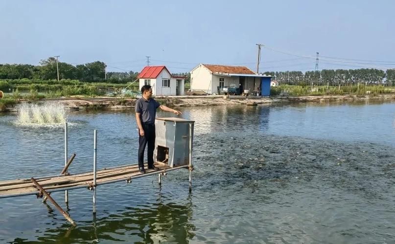祥龍魚場飼料魚成本占比,“祥龍魚場飼料魚成本占比調用工具百度愛采購 龍魚百科 第5張 祥龍魚場飼料魚成本占比,“祥龍魚場飼料魚成本占比調用工具百度愛采購 祥龍魚場飼料魚成本占比,“祥龍魚場飼料魚成本占比調用工具百度愛采購 龍魚百科 第5張