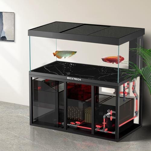 推薦幾個龍魚缸品牌，家庭養魚選擇龍魚缸品牌推薦 推薦幾個龍魚缸品牌，家庭養魚選擇龍魚缸品牌推薦 龍魚百科 第10張
