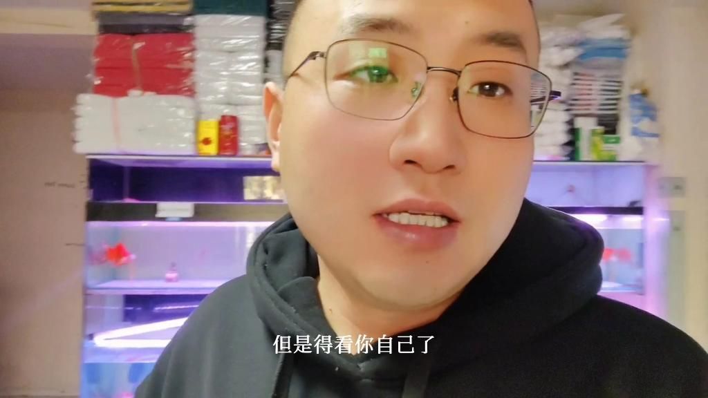 一個魚缸養龍魚，需要多大的空間？，養龍魚，魚缸尺寸絕不是“能放下就行”，而是直接關系到健康生長