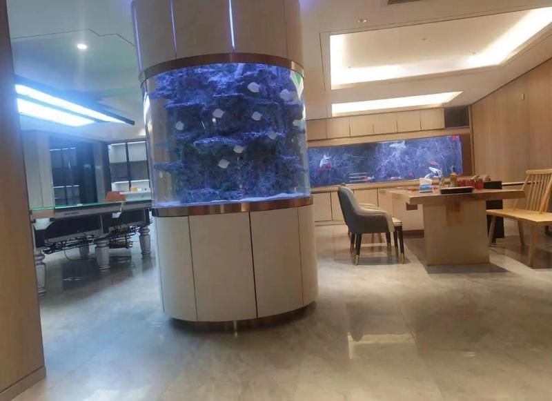 如何判斷龍魚缸的耐用性？ 如何判斷龍魚缸的耐用性？ 龍魚百科 第4張