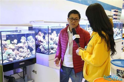 有哪些著名的龍魚漁場，新加坡、馬來西亞、印度尼西亞、中國龍魚漁場的區別