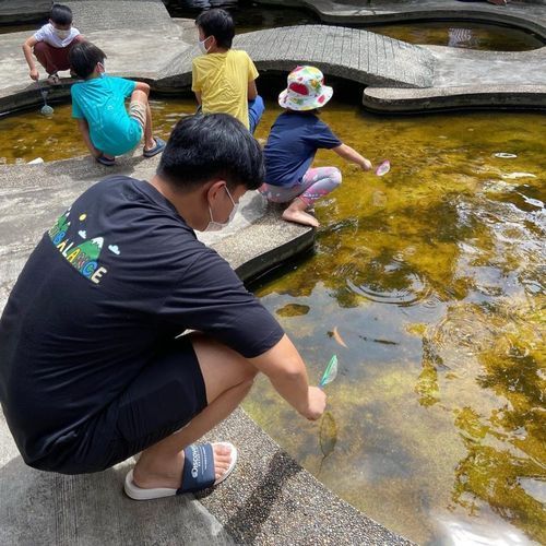 有哪些著名的龍魚漁場，新加坡、馬來西亞、印度尼西亞、中國龍魚漁場的區別