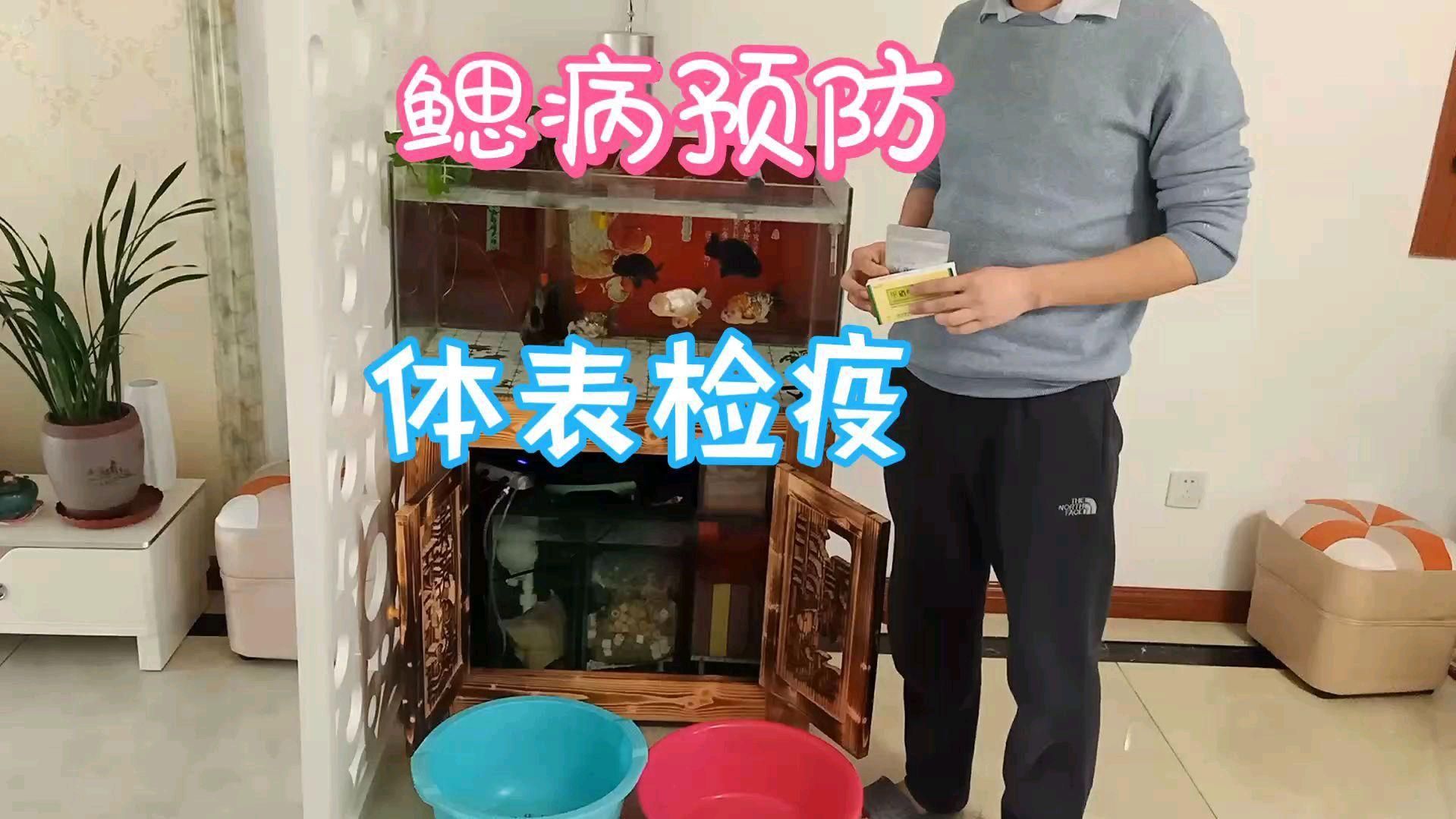 甲硝唑換水后多久可以再次使用