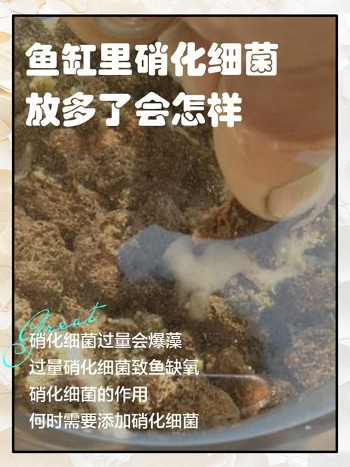 甲硝唑換水后多久可以再次使用