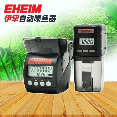 彩鰈和伊罕的價格差異大嗎?,彩鰈和伊罕的價格差異 龍魚百科 第5張 彩鰈和伊罕的價格差異大嗎?,彩鰈和伊罕的價格差異 彩鰈和伊罕的價格差異大嗎?,彩鰈和伊罕的價格差異 龍魚百科 第5張