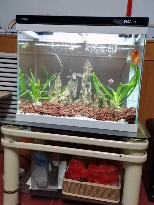 這些品牌缸中哪個性價比最高？，璃魚缸中哪個品牌缸中哪個性價比最高性價比最高