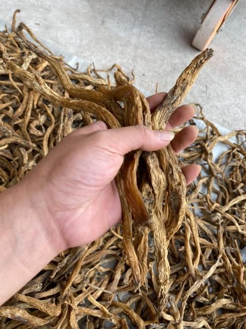 哪些中藥對魚寄生蟲最有效