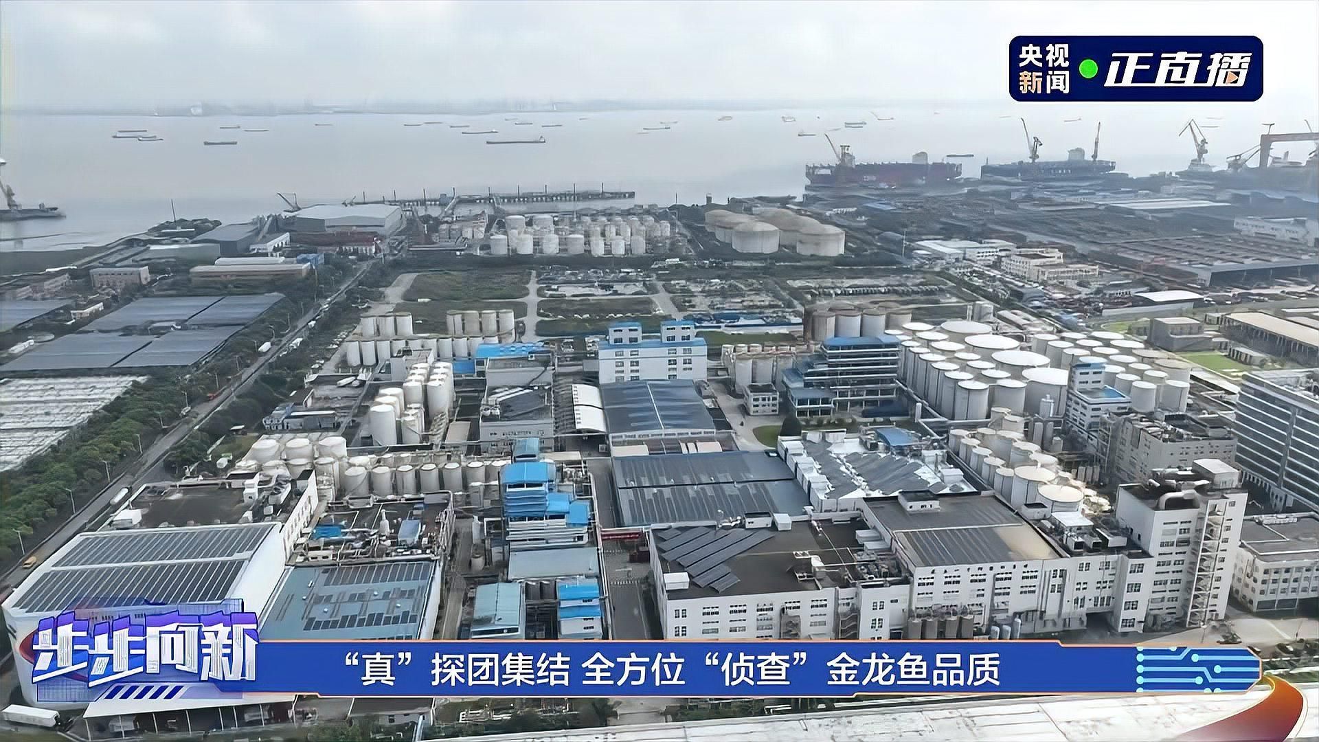 金龍魚廠的主要產品有哪些？，金龍魚廠的主要產品