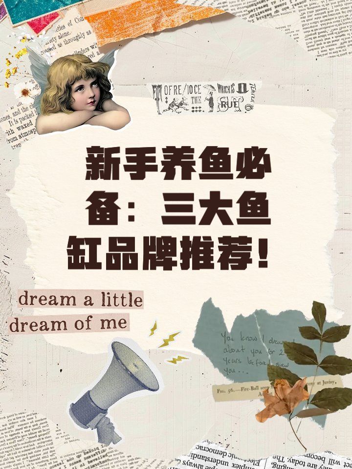 哪個品牌的魚缸最耐用？，當貝智能魚缸1ultra,和森森（sunsun）哪個品牌的魚缸最耐用