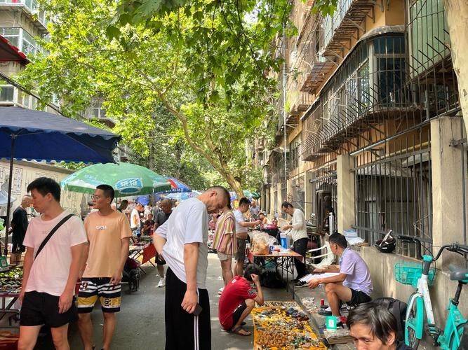 觀賞魚批發市場有哪些知名品種，西安觀賞魚批發市場