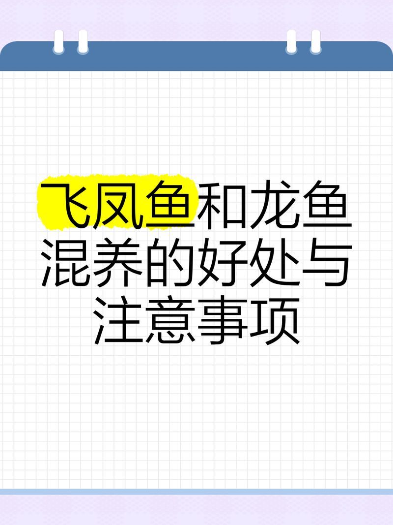 飛鳳魚和龍魚混養時需要注意什么，飛鳳魚和龍魚混養時需要注意什么，飛鳳魚和龍魚混養需要注意什么