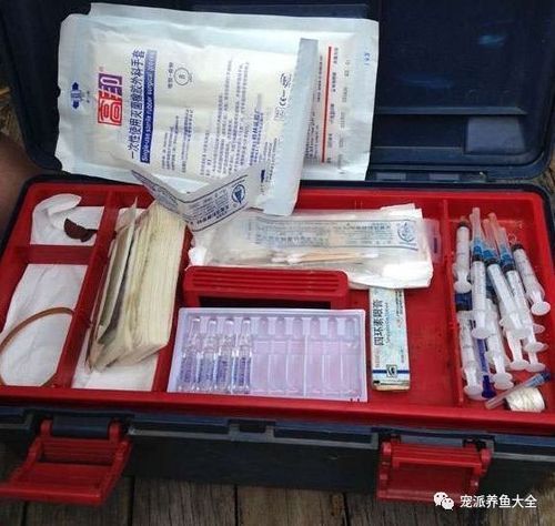 如何預(yù)防魚外傷感染