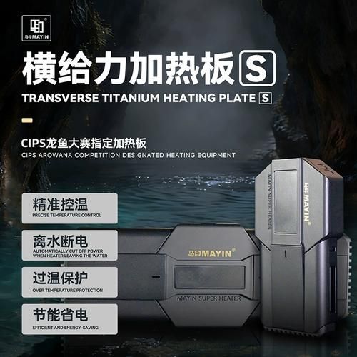 有哪些品牌加熱棒適合龍魚，龍魚加熱棒品牌加熱棒適合龍魚的特點及適用性分析 有哪些品牌加熱棒適合龍魚，龍魚加熱棒品牌加熱棒適合龍魚的特點及適用性分析 龍魚百科 第8張