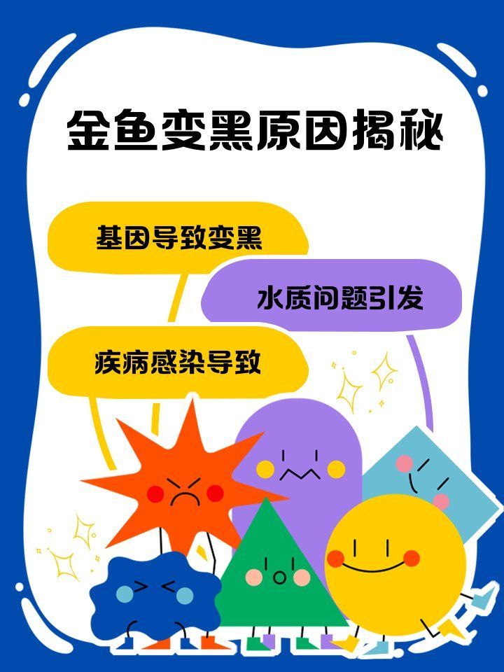 如何預(yù)防金魚發(fā)黑 如何預(yù)防金魚發(fā)黑 龍魚百科 第8張