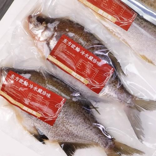 如何區(qū)分新疆雪龍魚和觀賞魚？，如何區(qū)分新疆雪龍魚與觀賞魚