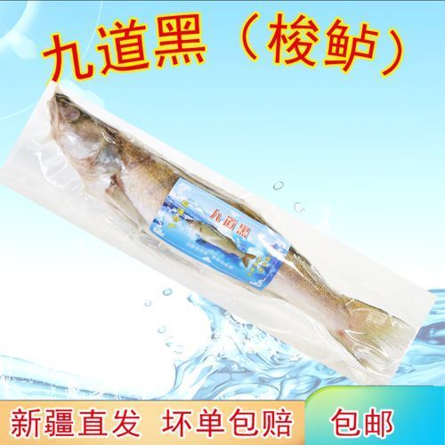 如何區分<strong><mark>新疆</mark></strong>雪龍魚和觀賞魚？，如何區分<strong><mark>新疆</mark></strong>雪龍魚與觀賞魚