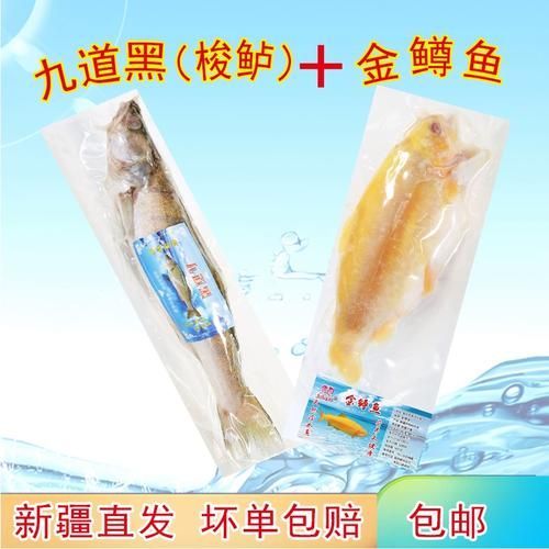 如何區(qū)分新疆雪龍魚和觀賞魚？，如何區(qū)分新疆雪龍魚與觀賞魚
