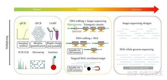 如何評估轉基因食品的安全性 龍魚百科 第2張 如何評估轉基因食品的安全性 如何評估轉基因食品的安全性 龍魚百科 第2張